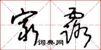 王冬龄穷露草书怎么写