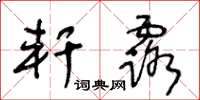 王冬龄轩露草书怎么写