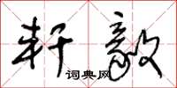 王冬龄轩毅草书怎么写