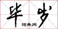 钱沛云毕岁行书怎么写