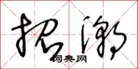 王冬龄招潮草书怎么写