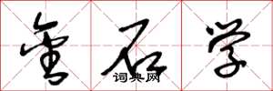 王冬龄金石学草书怎么写