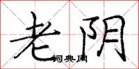 庞中华老阴楷书怎么写