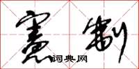 王冬龄宪制草书怎么写