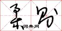 王冬龄柔则草书怎么写