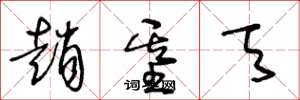 王冬龄赵基天草书怎么写