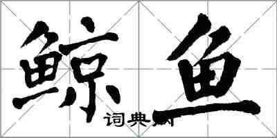 翁闿运鲸鱼楷书怎么写