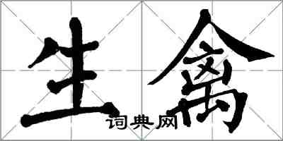 翁闿运生禽楷书怎么写