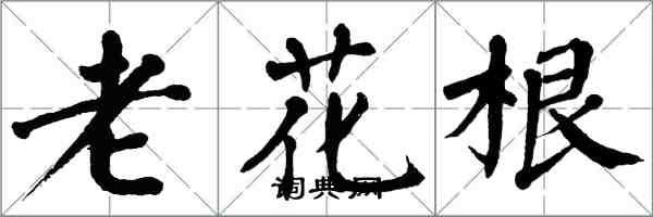 翁闿运老花根楷书怎么写