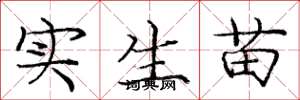 庞中华实生苗楷书怎么写