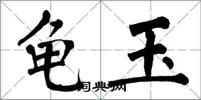 翁闿运龟玉楷书怎么写
