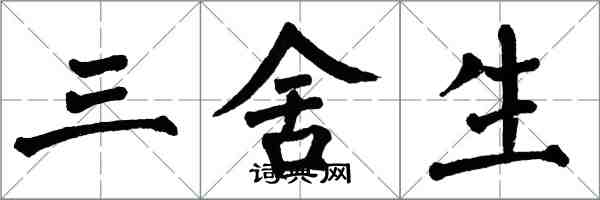翁闿运三舍生楷书怎么写