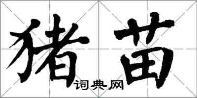 翁闿运猪苗楷书怎么写