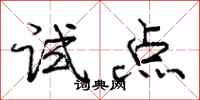 庞中华试点行书怎么写