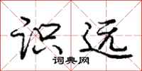 庞中华识远行书怎么写