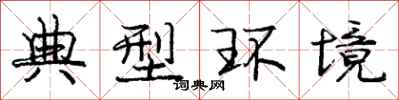 庞中华典型环境行书怎么写