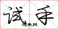 庞中华试手行书怎么写