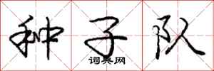 庞中华种子队行书怎么写