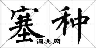 翁闿运塞种楷书怎么写