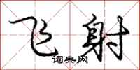 庞中华飞射行书怎么写