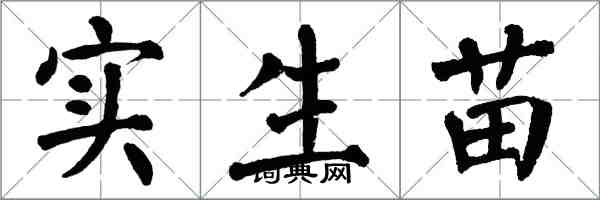 翁闿运实生苗楷书怎么写
