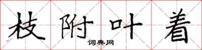 袁强枝附叶着楷书怎么写