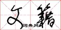 王冬龄文籍草书怎么写