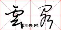 王冬龄云阁草书怎么写