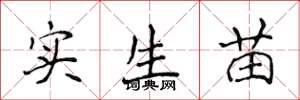 侯登峰实生苗楷书怎么写