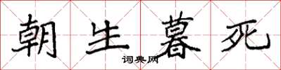袁强朝生暮死楷书怎么写