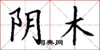 丁谦阴木楷书怎么写