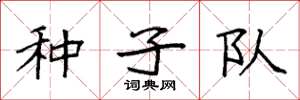 袁强种子队楷书怎么写