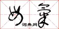 王冬龄母气草书怎么写