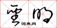 王冬龄圣明草书怎么写