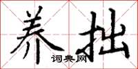 丁谦养拙楷书怎么写