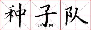 丁谦种子队楷书怎么写
