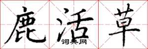 丁谦鹿活草楷书怎么写