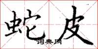 丁谦蛇皮楷书怎么写