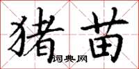丁谦猪苗楷书怎么写