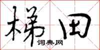曾庆福梯田行书怎么写