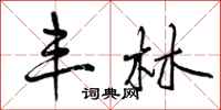 曾庆福丰林行书怎么写