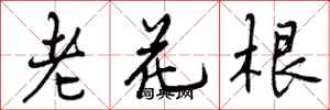 曾庆福老花根行书怎么写