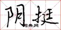 曾庆福阴挺行书怎么写