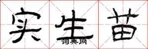 曾庆福实生苗隶书怎么写