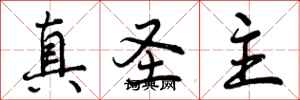 曾庆福真圣主行书怎么写