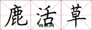 荆霄鹏鹿活草楷书怎么写