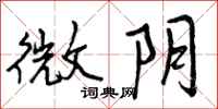 曾庆福微阴行书怎么写