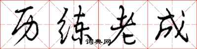 曾庆福历练老成行书怎么写