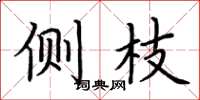荆霄鹏侧枝楷书怎么写