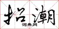 曾庆福招潮行书怎么写